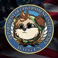 Department Of Government Inefficiency — D.O.G.I.N.