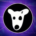 DOGS INSTANT PAY BOT