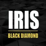 Iris | Black Diamond