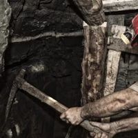 Mining Ton Coin Global