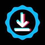 Скачать видео с тик тока