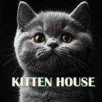 Kitten House Crypto