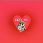 Анонимный Чат