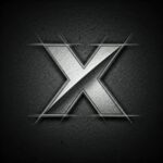 Twitter X Media Downloader