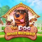 1ВИН | ДРАГОНМАНИ | 1ХБЕТ