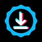 Скачать из ТикТока, Инстаграма