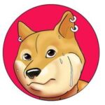 PhysicalDoge Airdrop