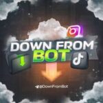 DownFromBot | instagram, youtube, pinterest, snapchat, save