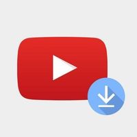 Скачать видео с Youtube TikTok ВК DZEN Likee