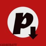 Pinterest Video Downloader