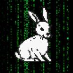 DIstrict Clash // PunkCity