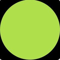 FaktON  | web3 Activity Tracker