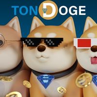 TON DOGE COIN CHAT