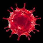 Кликер-бот COVID-19