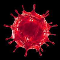 Кликер-бот COVID-19